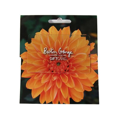 Orange Dahlia Design Gift Card Barton Grange Garden Centre Webshop