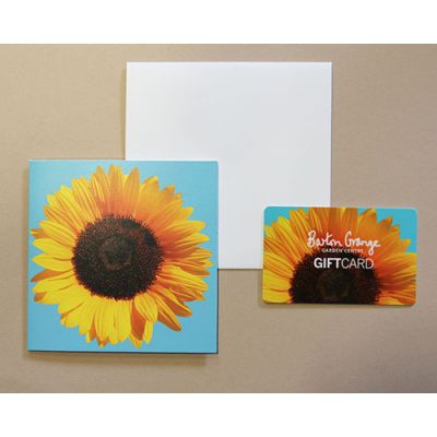 £100 Sunflower Design Gift Card - image 2