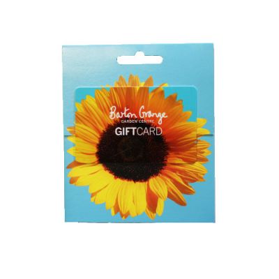 £100 Sunflower Design Gift Card - image 1