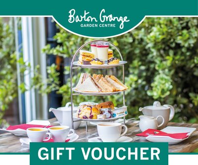 Afternoon Tea for Two DIGITAL GIFT CARD - image 2