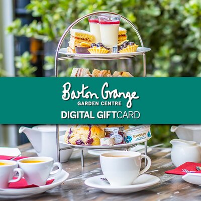 Afternoon Tea for Two DIGITAL GIFT CARD - image 1