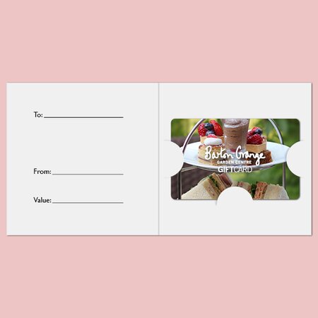 £20 Afternoon Tea For 1 Gift Card - image 3