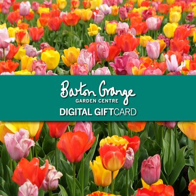 Barton Grange Bloomin' Great Mum DIGITAL GIFT CARD - image 1