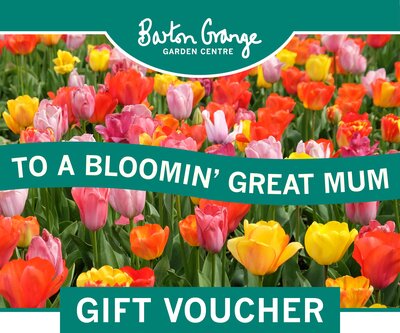 Barton Grange Bloomin' Great Mum DIGITAL GIFT CARD - image 2