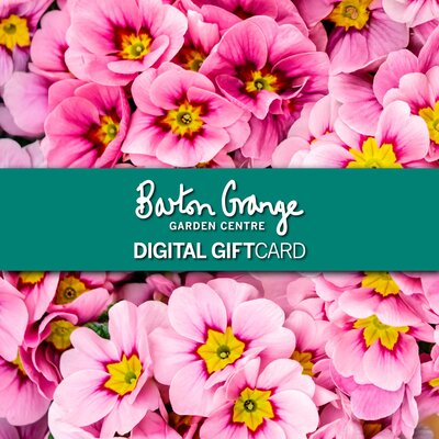 Barton Grange Happy Mothers Day DIGITAL GIFT CARD - image 1