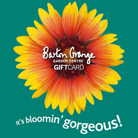 £100 Blooming Gorgeous Design Gift Card - image 1