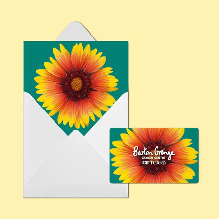 £100 Blooming Gorgeous Design Gift Card - image 2