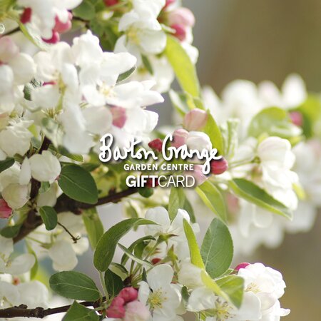 £50 Blossom Design Gift Card - image 1