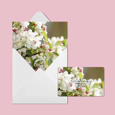 £25 Blossom Design Gift Card - image 2