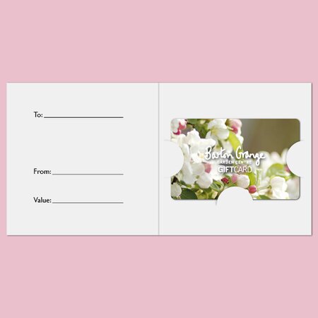 £50 Blossom Design Gift Card - image 3