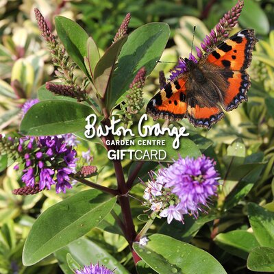 £100 Butterfly Design Gift Card - image 1