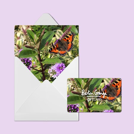 £50 Butterfly Design Gift Card - image 2