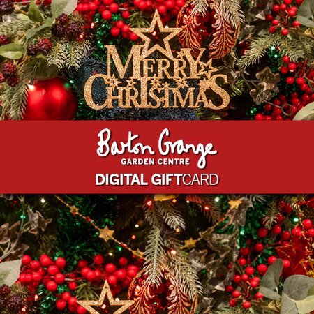 Christmas DIGITAL GIFT CARD