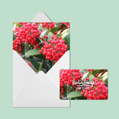 £50 Festive Berry Design Gift Card - image 2