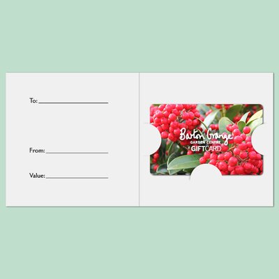 £100 Festive Berry Design Gift Card - image 3