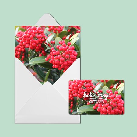 £25 Festive Berry Gift Card - image 2