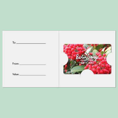 £25 Festive Berry Gift Card - image 3