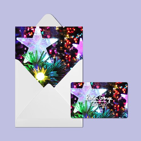 £25 Festive Star Design Gift Card - image 2