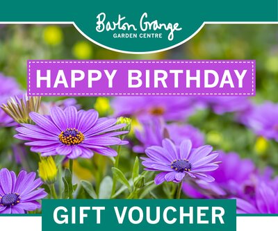 Happy Birthday Flower DIGITAL GIFT CARD - image 2