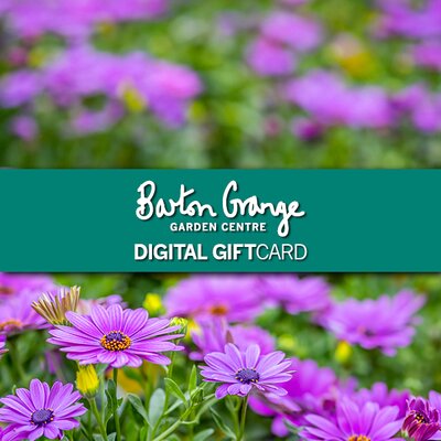 Happy Birthday Flower DIGITAL GIFT CARD