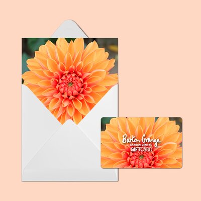 £50 Orange Dahlia Design Gift Card - image 2