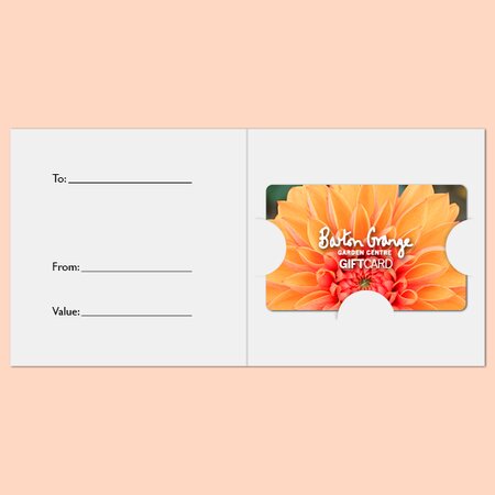 £100 Orange Dahlia Design Gift Card - image 3