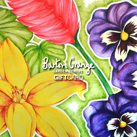 £100 Pansy Design Gift Card - image 1