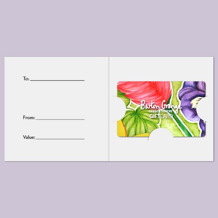 £25 Pansy Design Gift Card - image 3