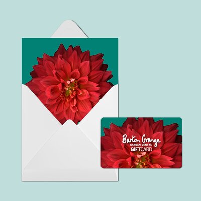 £50 Red Dahlia Design Gift Card - image 2