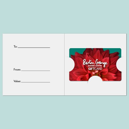 £50 Red Dahlia Design Gift Card - image 3