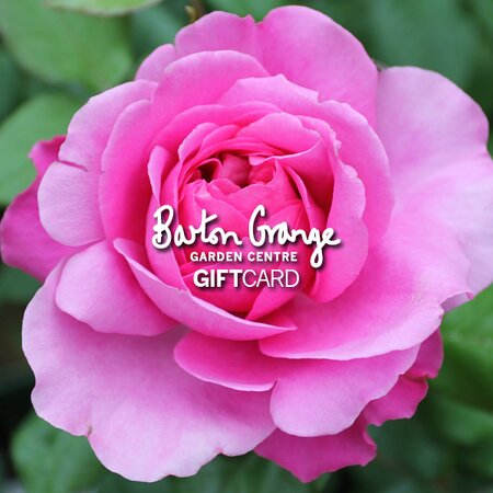 £50 Rose Design Gift Card - image 1