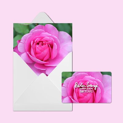 £100 Rose Design Gift Card - image 2