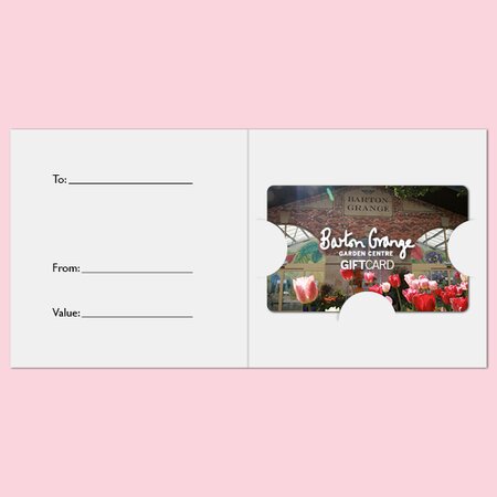 £50 Tulips Design Gift Card - image 3